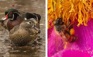 Wait, The Park Staff Took These Amazing Photos?!