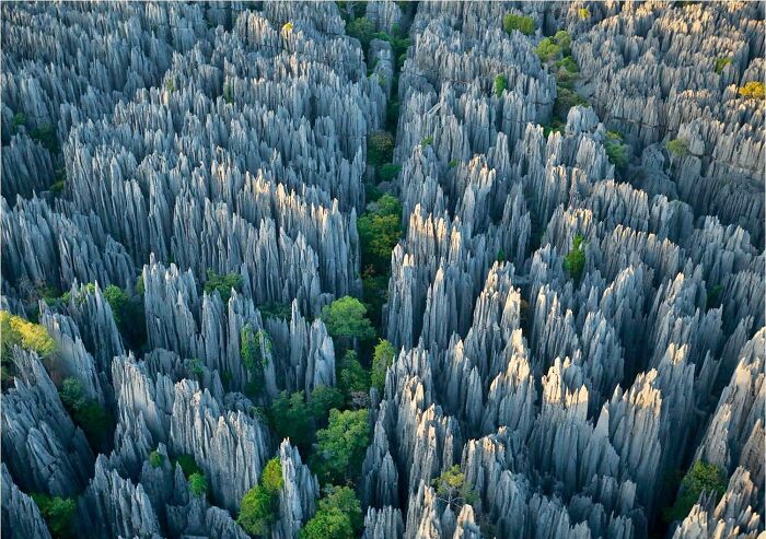 Tsingy de Bemaraha, Madagascar: Nature’s Rocky Obstacle Course