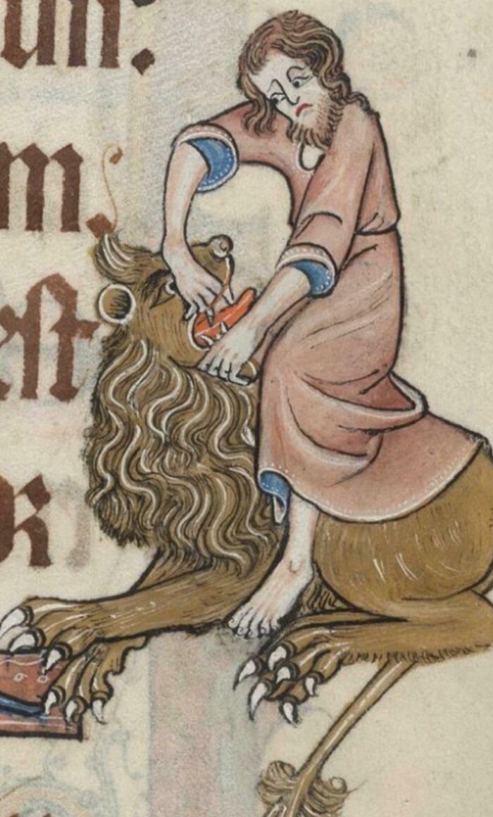 Trying to Give Medicine to Your Cat (Medieval Edition)
