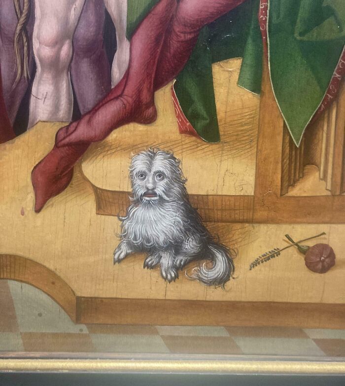 Is This A Dog Or A Cat? The Great Medieval Mystery