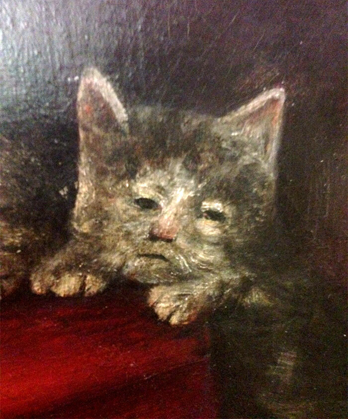 This Cat Is Giving Me Major Mood Vibes