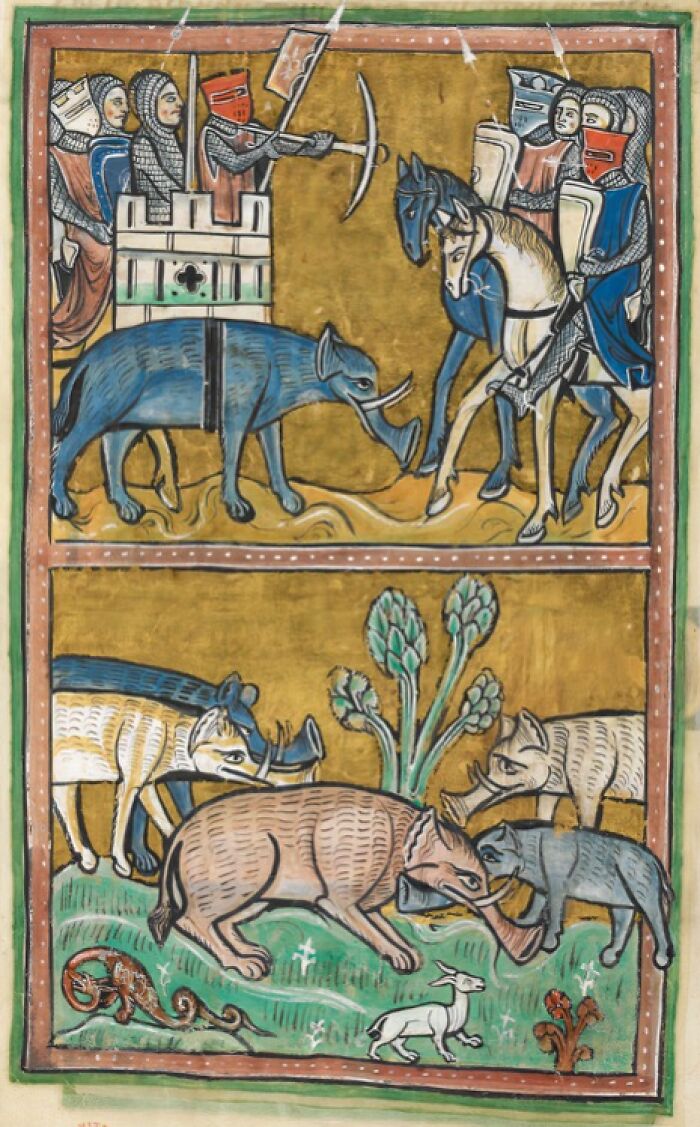 Elephants From The Rochester Bestiary: Totally Majestic