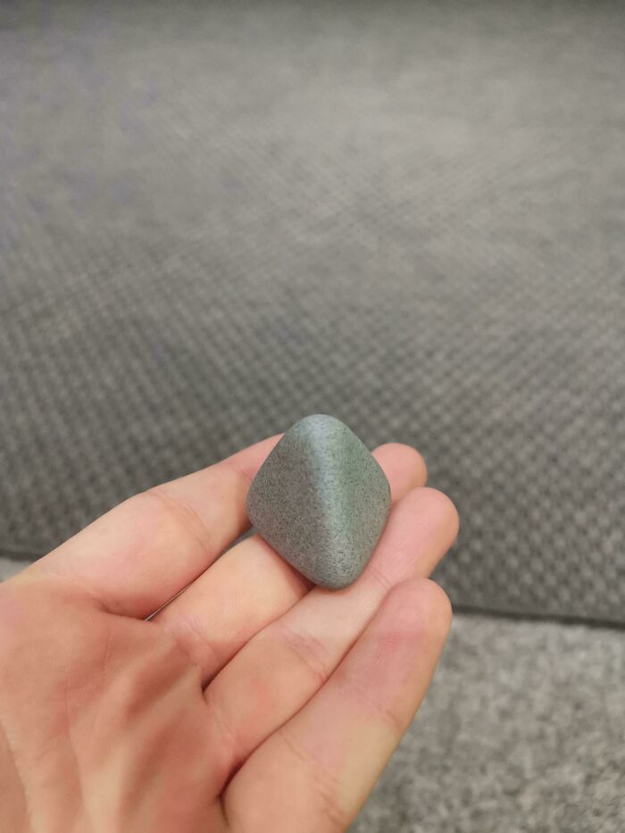 Check Out This Rock That Totally Stole The Show