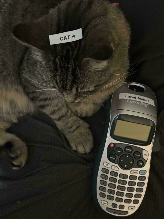 I Got A Label Maker, Because Organization Is Life