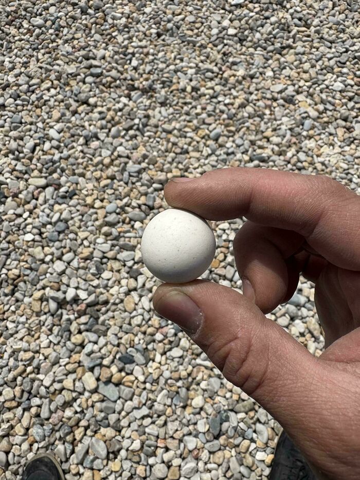 Found The Most Perfect Round Stone Ever. It's Like Pebble Goals