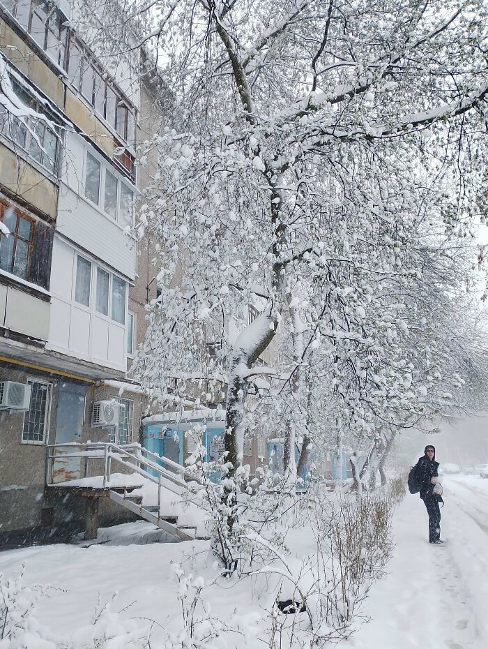 Yep, It’s Snowing Today And Yes, It’s Still Meh