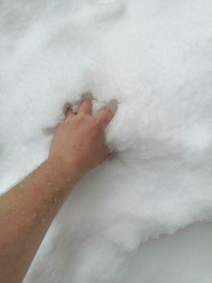 Went Outside To Touch Grass And Ended Up Failing Spectacularly