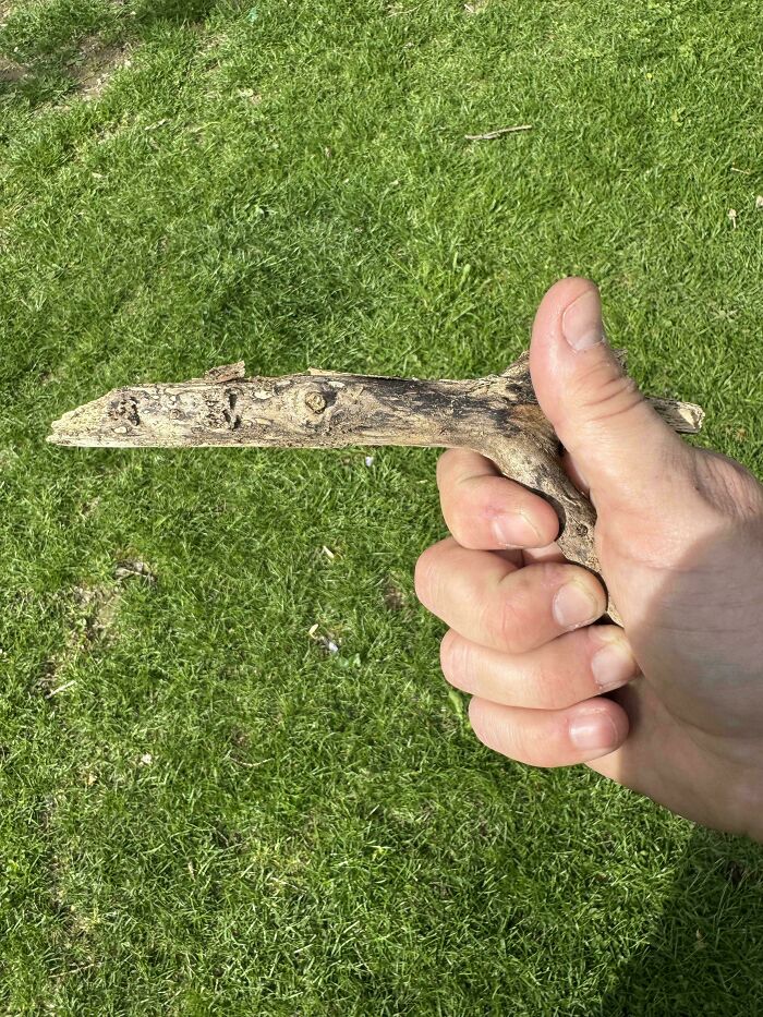A Stick. Just A Stick. But Also Kinda Cool.
