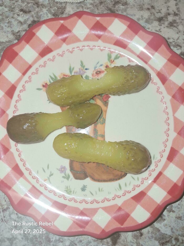 Just Eating Some Pickles Because Life’s Better With Pickles