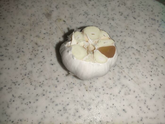 One Garlic Clove Went Black, The Rest Didn’t. Garlic Drama