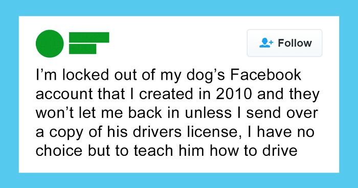 Let’s Dive Into 50 Hilarious Memes That Will Totally Brighten Your Day