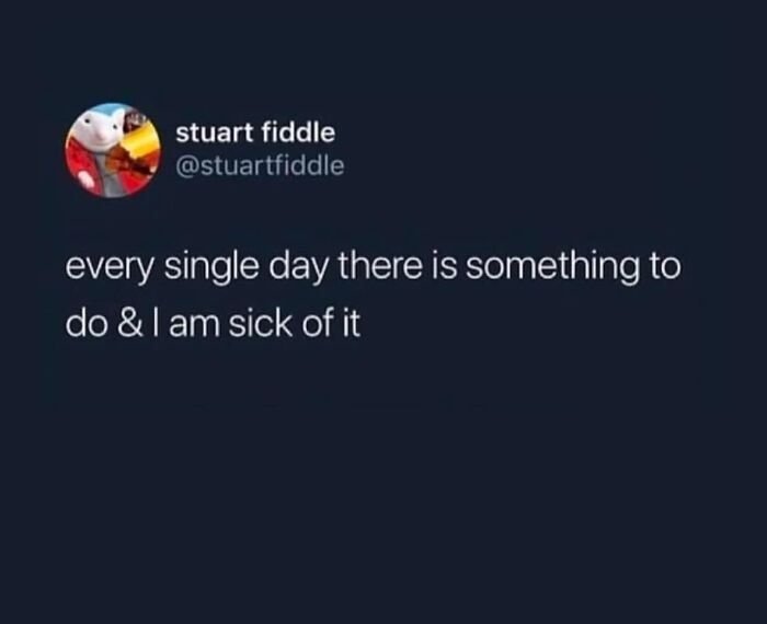 Let's Dive Into 50 Hilarious Memes That Will Totally Brighten Your Day