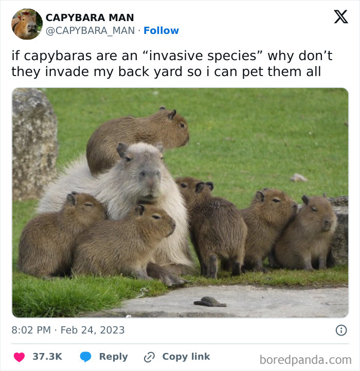 Let's Dive Into 50 Hilarious Memes That Will Totally Brighten Your Day