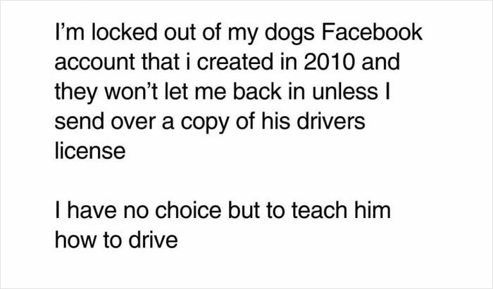 Let's Dive Into 50 Hilarious Memes That Will Totally Brighten Your Day