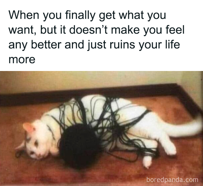 Let's Dive Into 50 Hilarious Memes That Will Totally Brighten Your Day