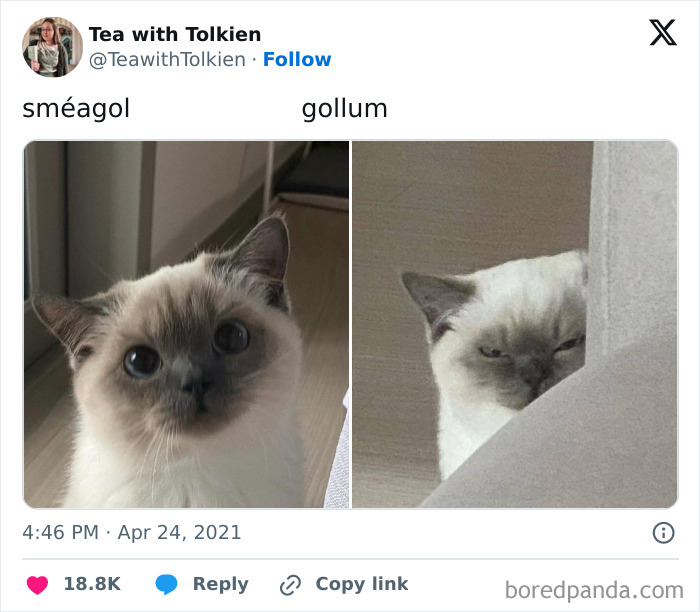 Let's Dive Into 50 Hilarious Memes That Will Totally Brighten Your Day