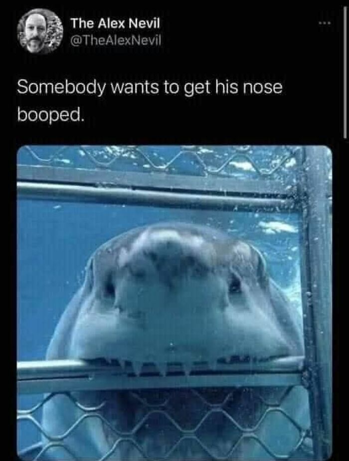 Let's Dive Into 50 Hilarious Memes That Will Totally Brighten Your Day