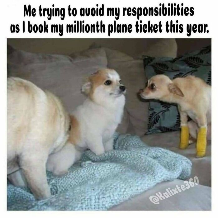 35 Travel Memes That Perfectly Nail The Chaos Of Dreaming About Trips You Definitely Can’t Afford