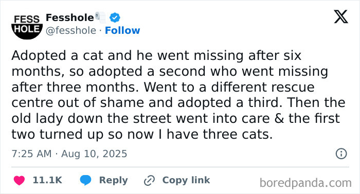 We Found The Weirdest, Wildest Anonymous Secrets People Shared Online — And Yep, We’re Totally Hooked