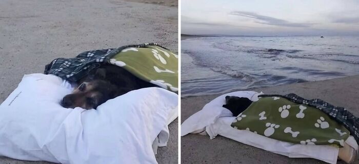 Wait, They Actually Shared These Wild True Stories?! Meet The Guy Behind The Instagram Account