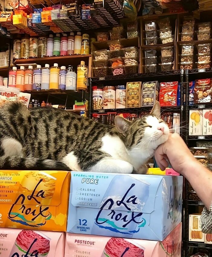 Wait, They Actually Shared These Wild True Stories?! Meet The Guy Behind The Instagram Account