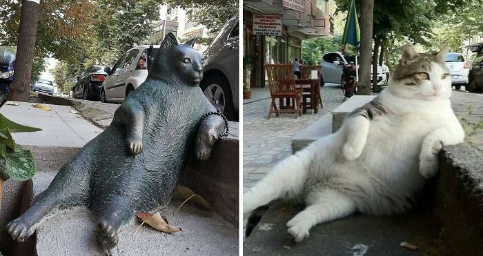 Wait, They Actually Shared These Wild True Stories?! Meet The Guy Behind The Instagram Account