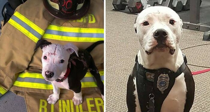 Wait, They Actually Shared These Wild True Stories?! Meet The Guy Behind The Instagram Account