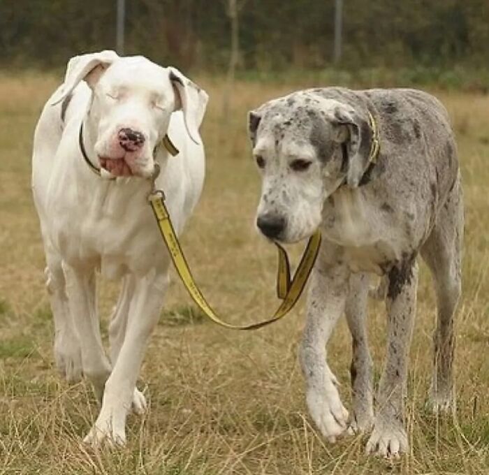 Wait, They Actually Shared These Wild True Stories?! Meet The Guy Behind The Instagram Account