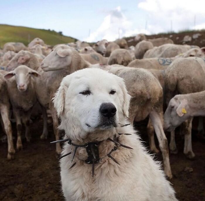 Wait, They Actually Shared These Wild True Stories?! Meet The Guy Behind The Instagram Account