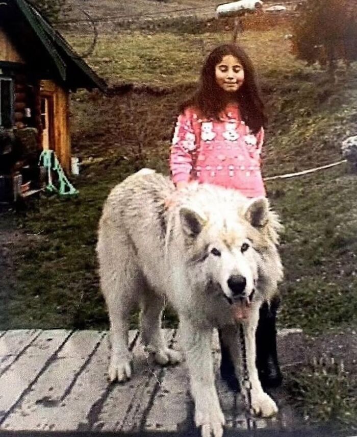 Wait, They Actually Shared These Wild True Stories?! Meet The Guy Behind The Instagram Account