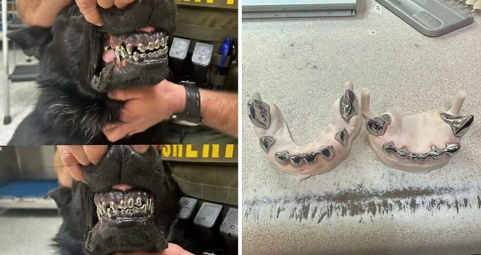 Wait, They Actually Shared These Wild True Stories?! Meet The Guy Behind The Instagram Account