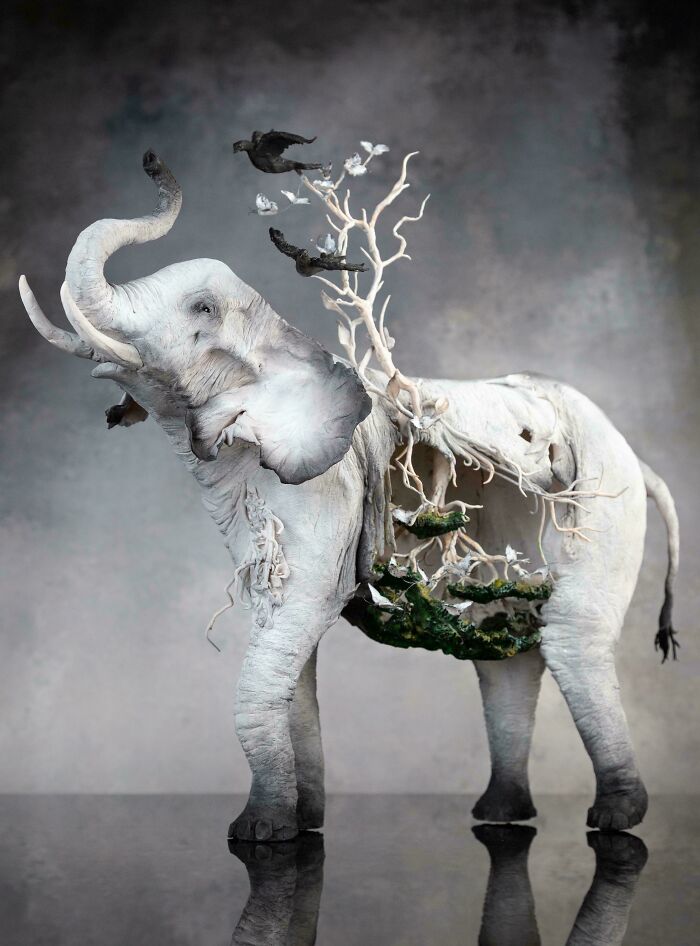 Got To Show This NYC Artwork—Because Why Not?