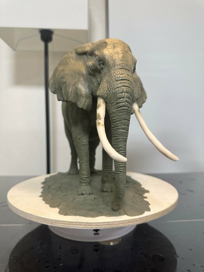 Wisdom Of The Old Elephant (And It’s Majestic)