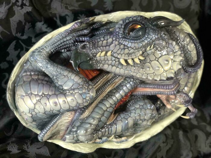 Meet My Baby Dragon—Adorable Alert!