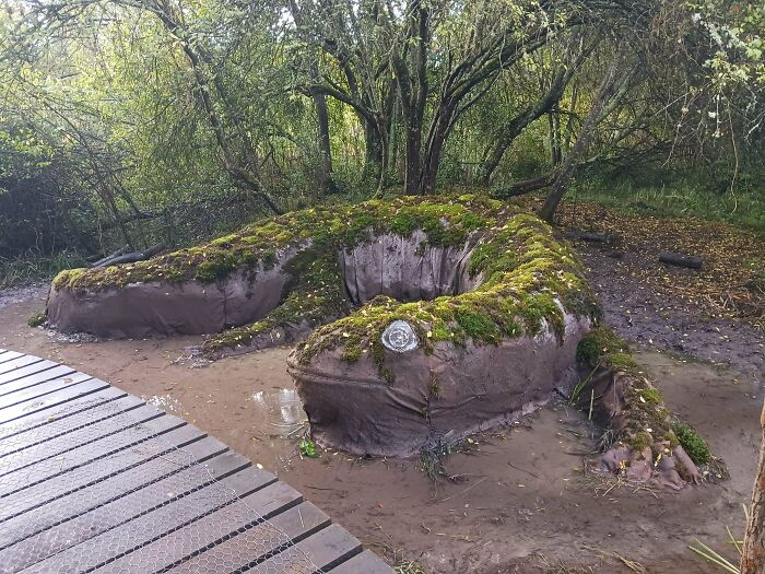 Giant Salamander Sculpture Found In France—Big And Bold