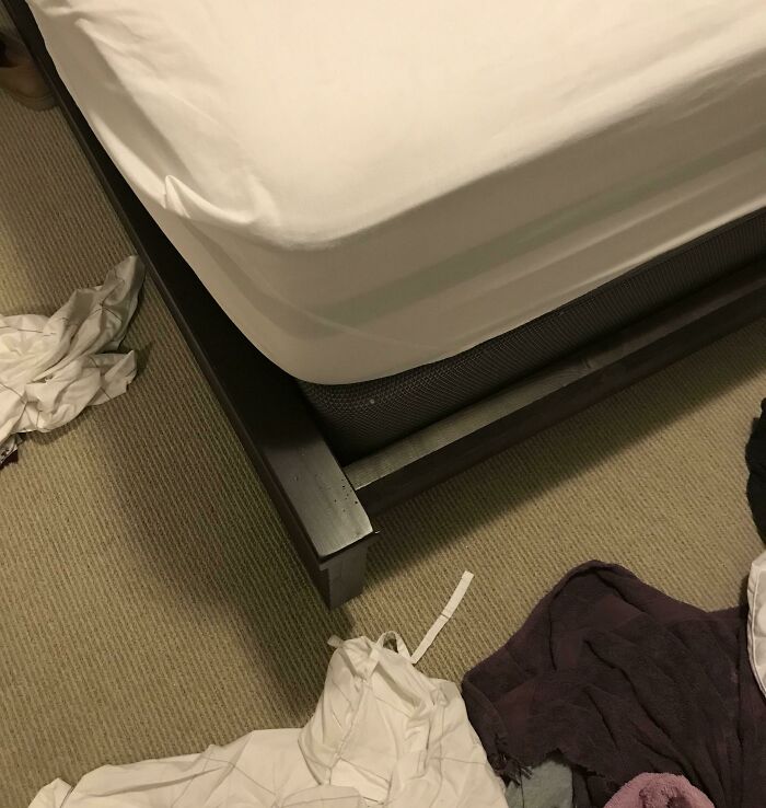 Beware the Shin-Blaster 2000—Your Legs Hate This Place