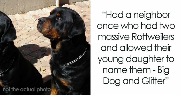 These Pet Names Are So Wild, We Had to Share!