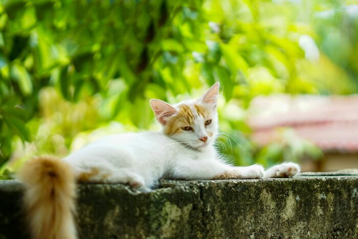 These Pet Names Are So Wild, We Had to Share!