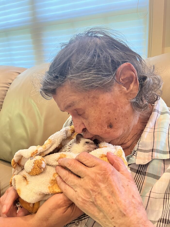 Wait, They Actually Snapped These Hedgehogs Doing Life?