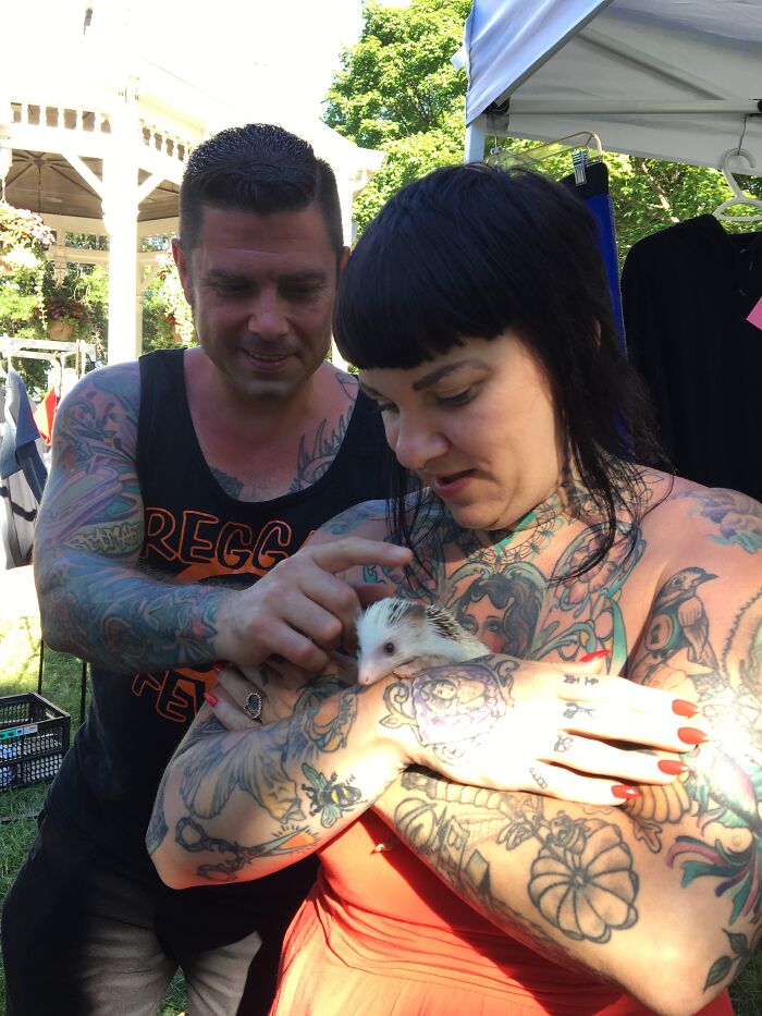 Wait, They Actually Snapped These Hedgehogs Doing Life?