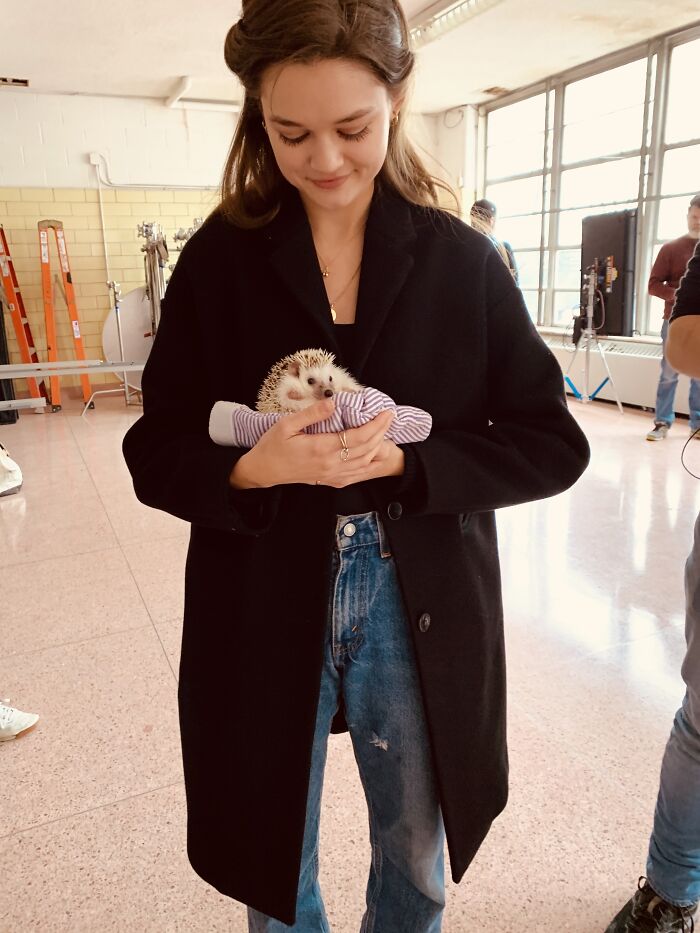 Wait, They Actually Snapped These Hedgehogs Doing Life?