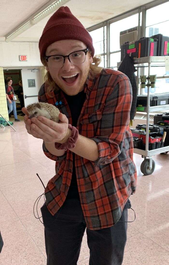 Wait, They Actually Snapped These Hedgehogs Doing Life?