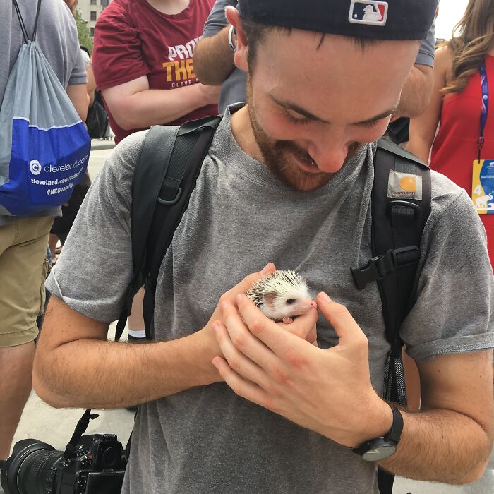 Wait, They Actually Snapped These Hedgehogs Doing Life?