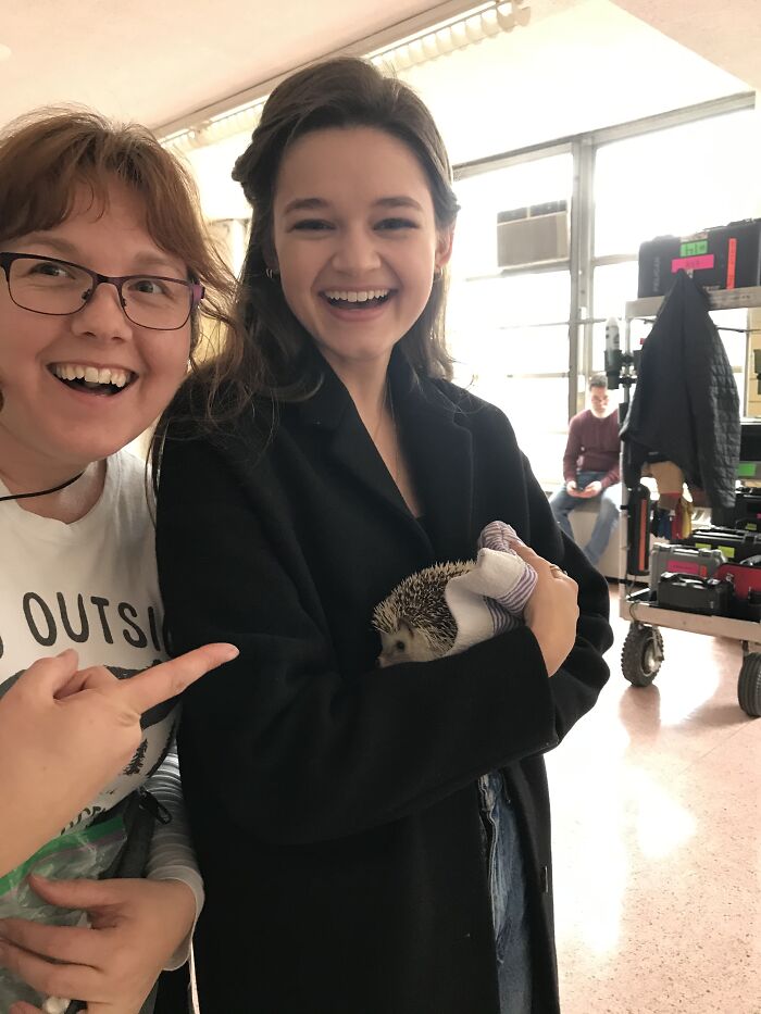 Wait, They Actually Snapped These Hedgehogs Doing Life?