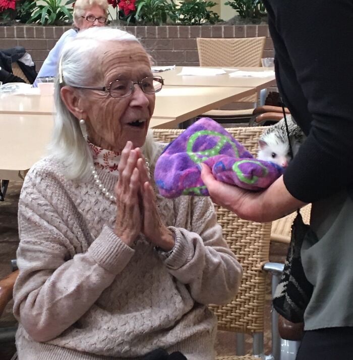 Wait, They Actually Snapped These Hedgehogs Doing Life?