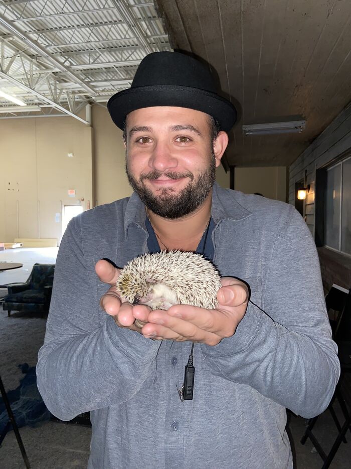 Wait, They Actually Snapped These Hedgehogs Doing Life?