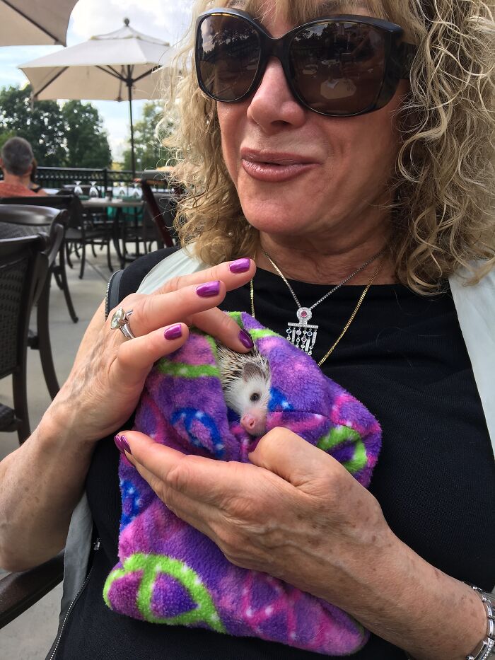 Wait, They Actually Snapped These Hedgehogs Doing Life?