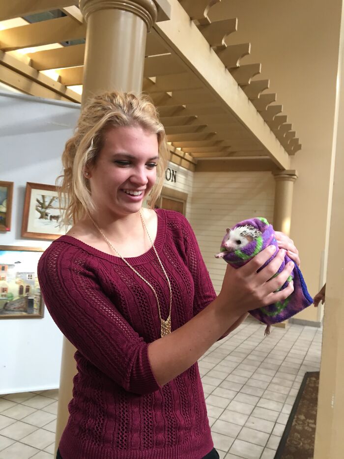 Wait, They Actually Snapped These Hedgehogs Doing Life?