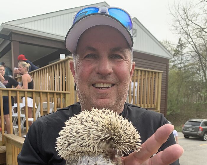 Wait, They Actually Snapped These Hedgehogs Doing Life?