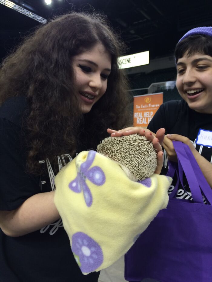 Wait, They Actually Snapped These Hedgehogs Doing Life?